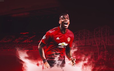 FB体育精华-B席和队友庆祝